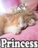 sticker_38696309_288