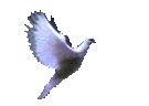 sticker_35971348_10