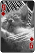 sticker_31954175_44756246