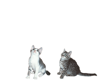 sticker_38696309_73