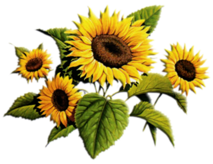 sticker_9888205_18844197