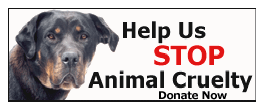 sticker_21426793_37731598