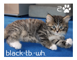 sticker_41449609_4