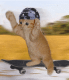 sticker_27870518_37692173