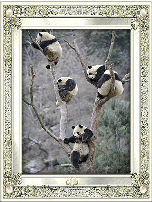 sticker_5572132_47549434