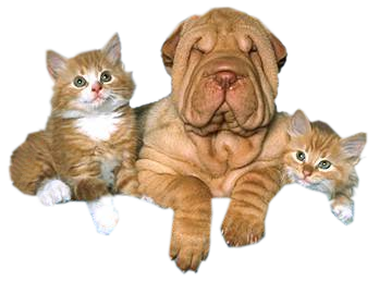 sticker_12417504_42004169