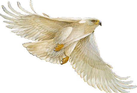 sticker_9947118_47543827