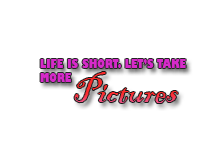 sticker_4789163_46860822