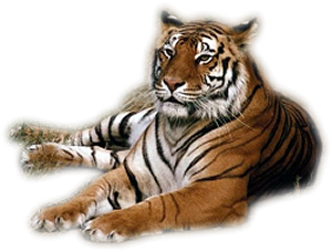 sticker_26056149_45477674