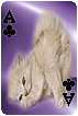 sticker_22933190_44496068