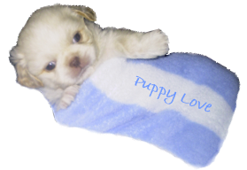 sticker_4917213_9784689