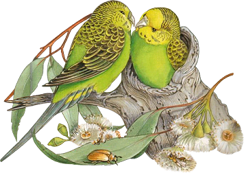 sticker_25369378_45831677