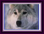 sticker_36153549_93