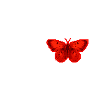 sticker_26941029_47383959