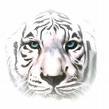 sticker_9694378_18993875