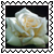 sticker_14021660_28750677