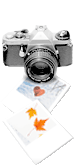 sticker_17666669_39745471