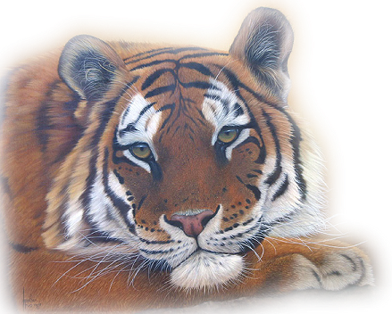 sticker_26056149_47516456