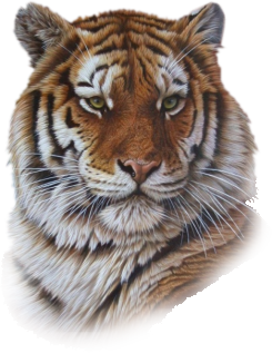 sticker_26056149_45133622