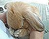 sticker_24570823_47541801