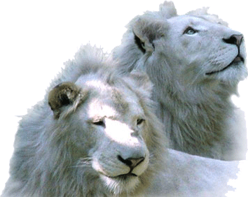 sticker_26940893_47457038