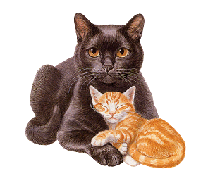 sticker_12376572_47603658