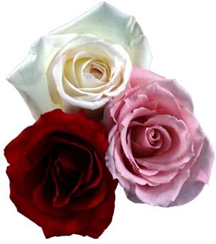 sticker_29083966_41985103