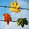 sticker_28282022_41888360
