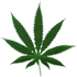 sticker_11699805_43994190