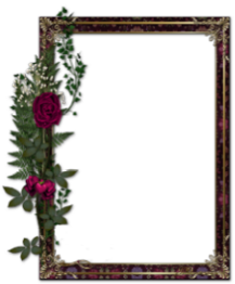 sticker_34165930_47357262