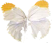 sticker_5840052_24310414