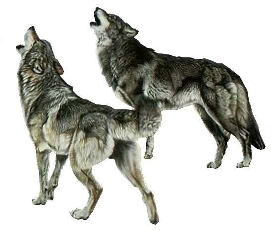 sticker_12417504_45565968