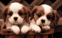 sticker_36294241_75