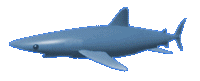 sticker_13865736_21843479