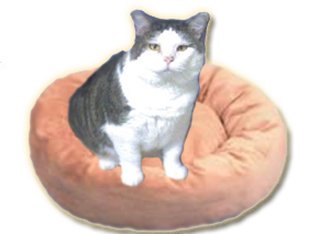 sticker_34162250_47352435