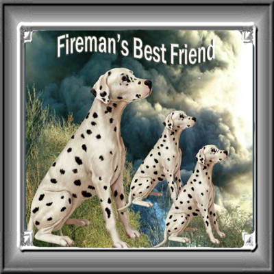 sticker_5572132_47549480