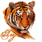 sticker_35076645_77