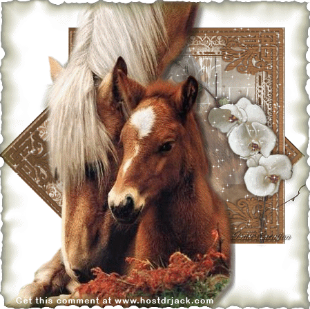 sticker_3164583_37049049