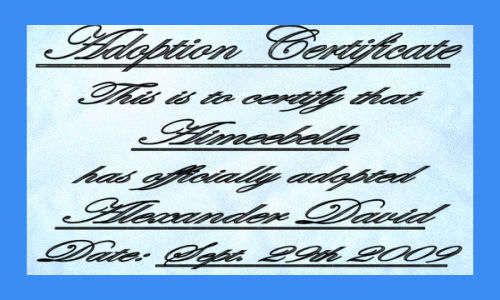 sticker_31954175_45705779