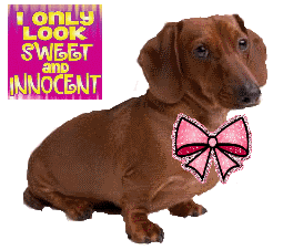 sticker_16398746_40687251