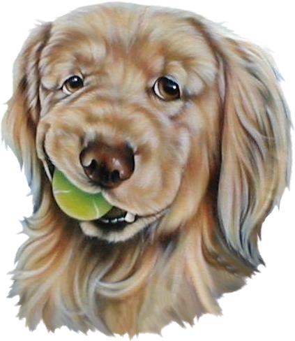 sticker_12417504_34581720