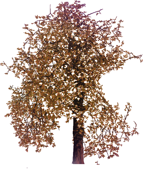 sticker_6135606_9287515