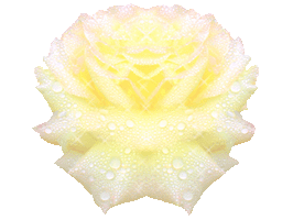 sticker_21033724_37712300