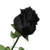sticker_22605563_32374356