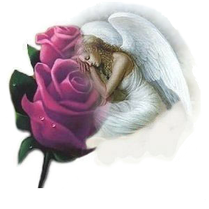 sticker_19053462_45301249