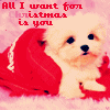 sticker_25812339_47589490