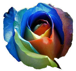 sticker_33067512_46723692
