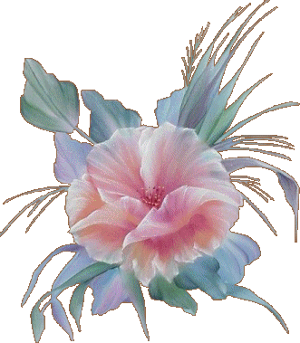 sticker_29498298_45196922