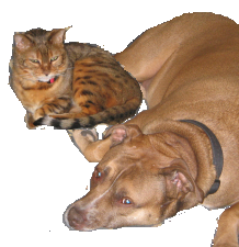 sticker_12417504_22710101