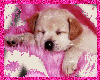 sticker_35273386_38